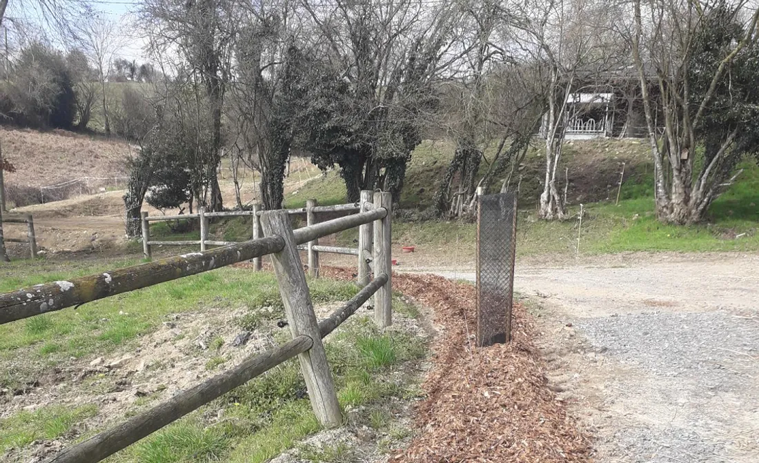 Plantation de haie bocagère